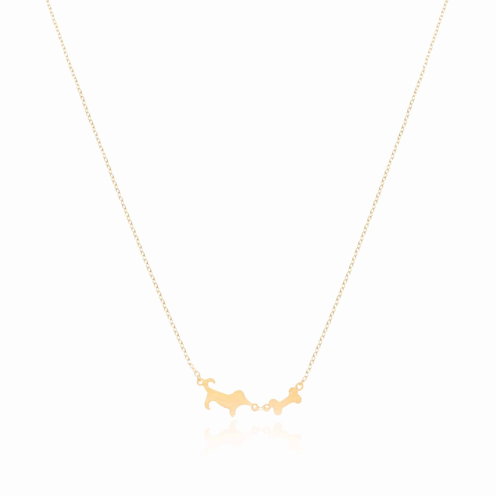 Collar de Plata Pluto